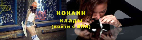 дмт Осинники