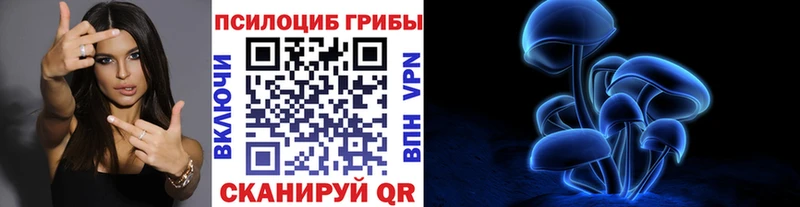 Купить где  Харовск  Галлюциногенные грибы Magic Shrooms 